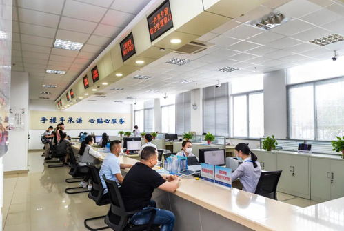 人靠衣裳馬靠鞍 我的服裝店創(chuàng)業(yè)攻略與信息咨詢服務(wù)